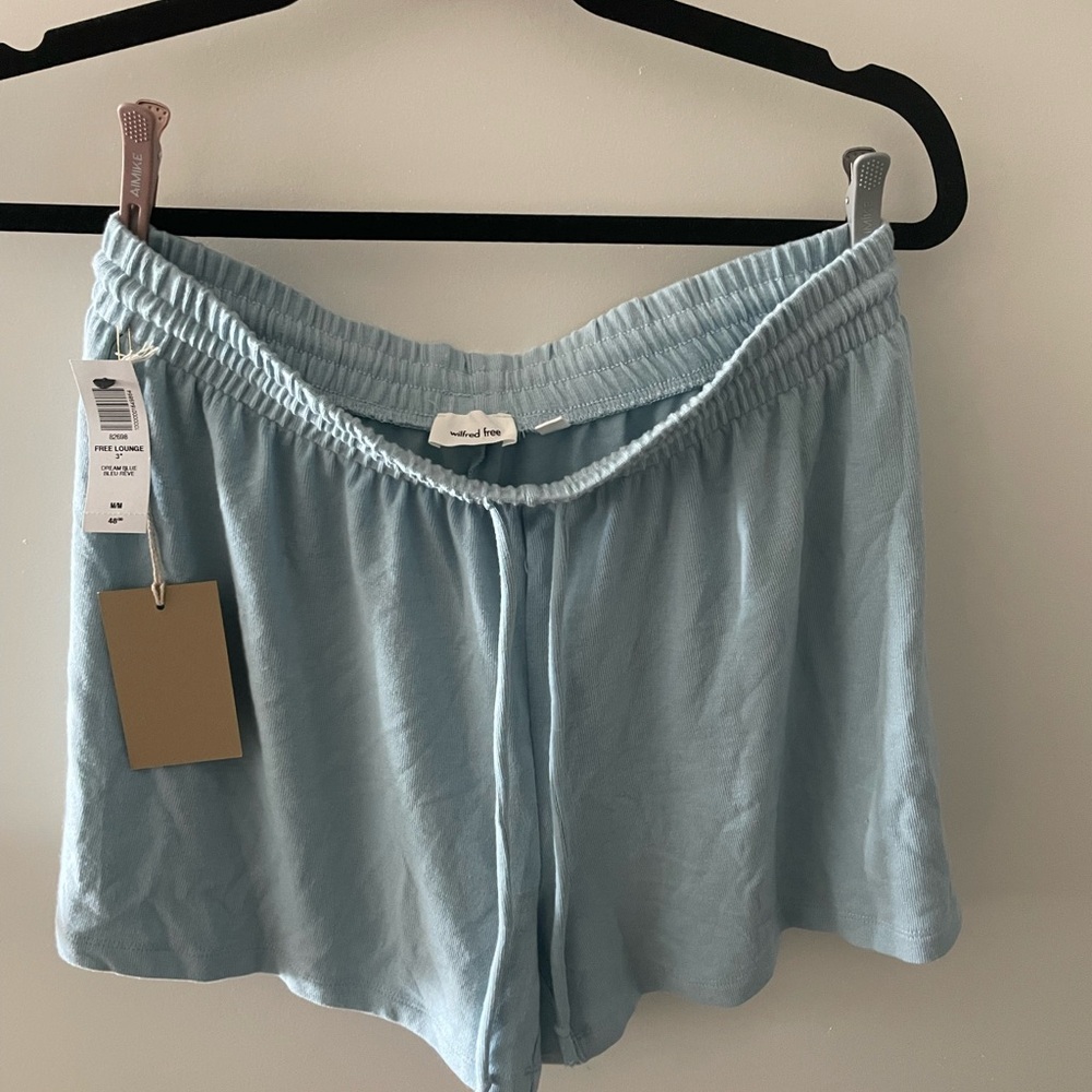 Aritzia Light Blue Women Shorts, NWT M